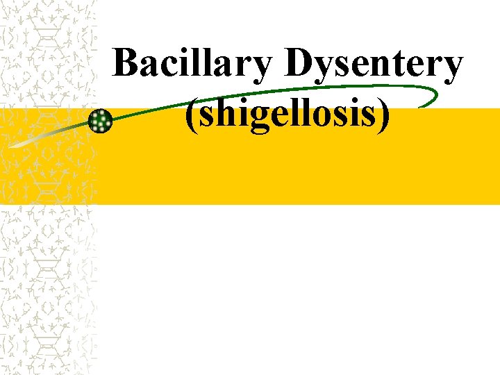 Bacillary Dysentery (shigellosis) 