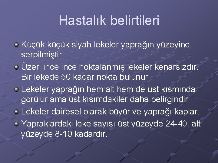 Hastalık belirtileri Küçük küçük siyah lekeler yaprağın yüzeyine serpilmiştir. Üzeri ince noktalanmış lekeler kenarsızdır.