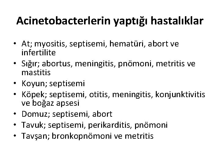 Acinetobacterlerin yaptığı hastalıklar • At; myositis, septisemi, hematüri, abort ve infertilite • Sığır; abortus,