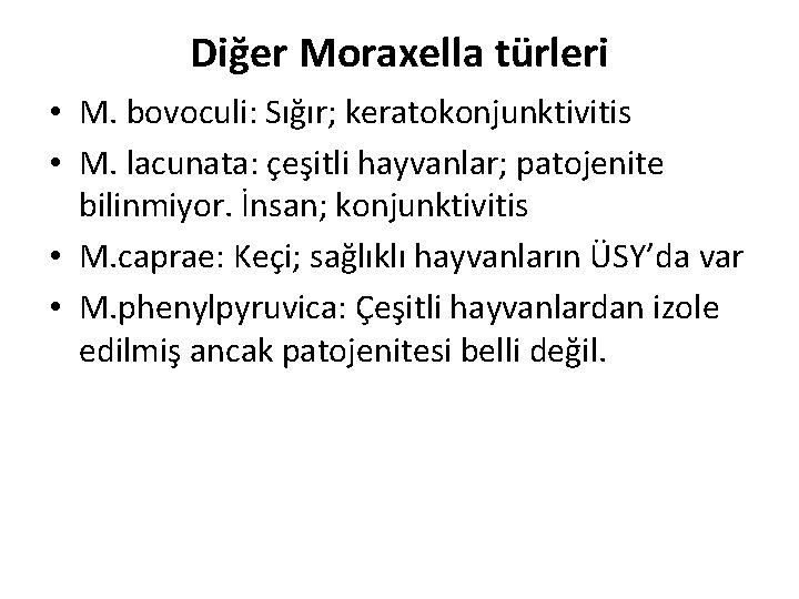 Diğer Moraxella türleri • M. bovoculi: Sığır; keratokonjunktivitis • M. lacunata: çeşitli hayvanlar; patojenite