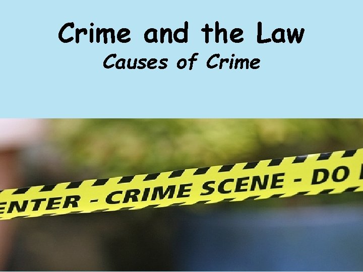 Crime and the Law Causes of Crime 