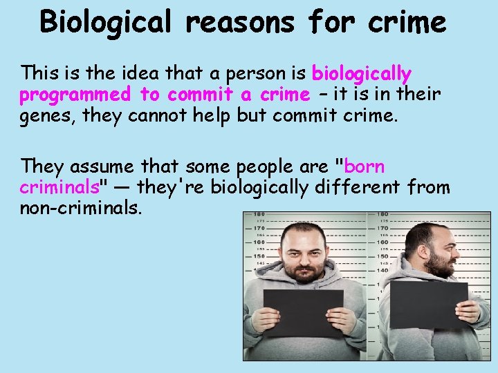 Biological reasons for crime This is the idea that a person is biologically programmed