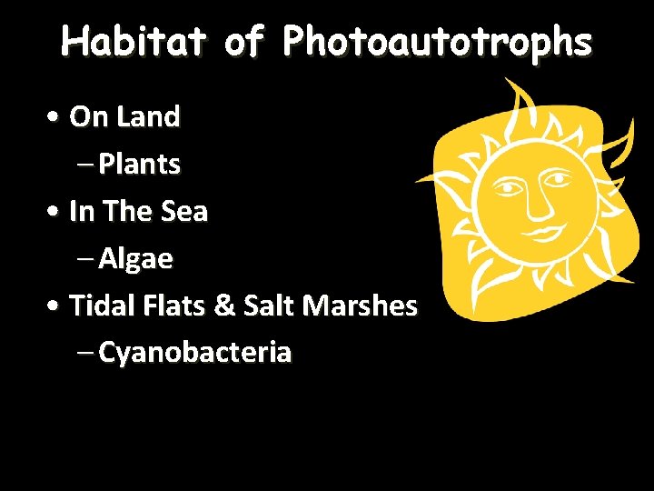 Habitat of Photoautotrophs • On Land – Plants • In The Sea – Algae