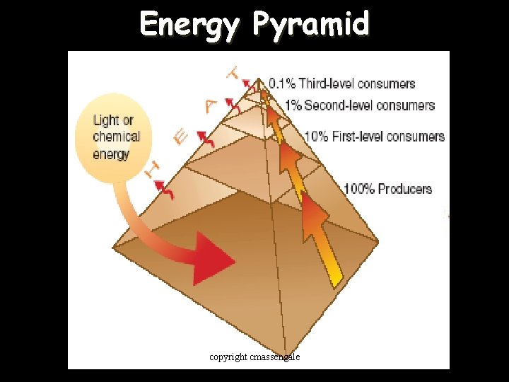 Energy Pyramid copyright cmassengale 40 
