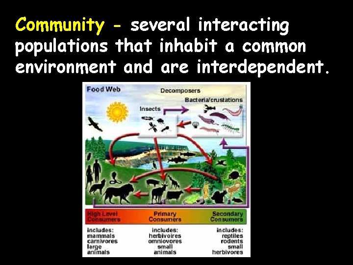 Community - several interacting populations that inhabit a common environment and are interdependent. 