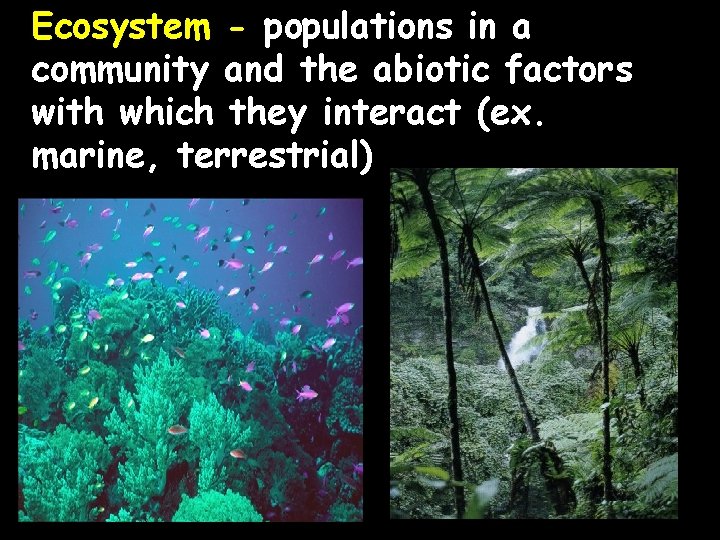 Ecosystem - populations in a community and the abiotic factors with which they interact