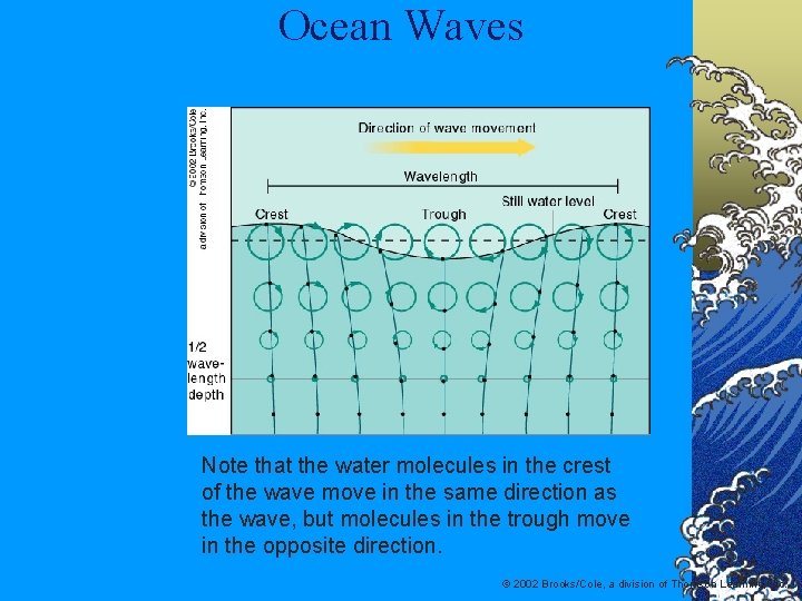 Ocean Waves Note that the water molecules in the crest of the wave move