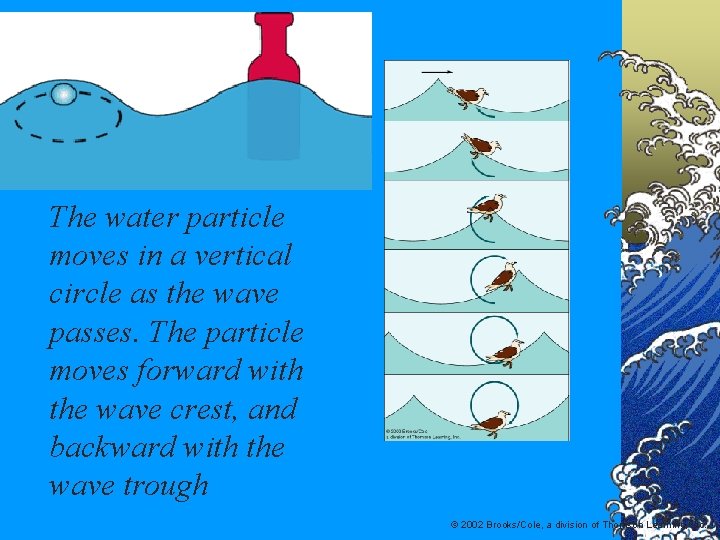 The water particle moves in a vertical circle as the wave passes. The particle