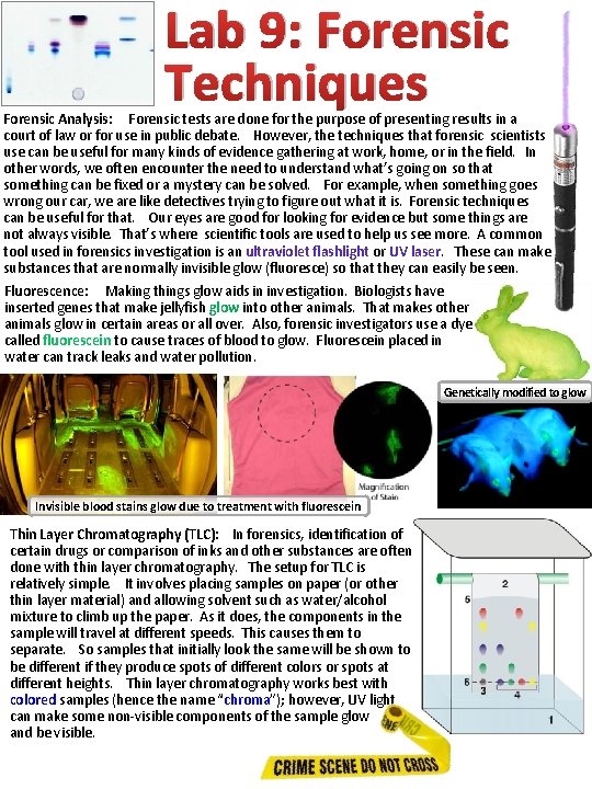 Lab 9: Forensic Techniques Forensic Analysis: Forensic tests are done for the purpose of