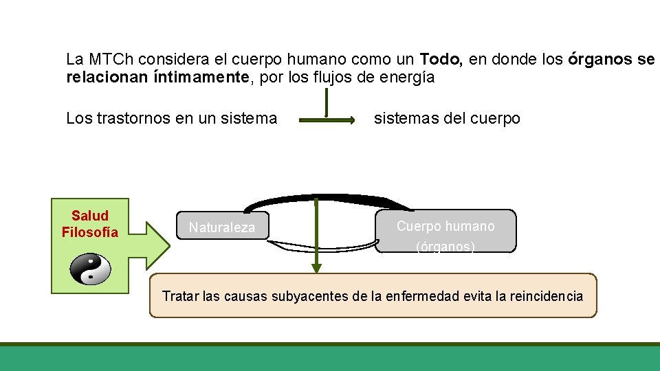 La MTCh considera el cuerpo humano como un Todo, en donde los órganos se