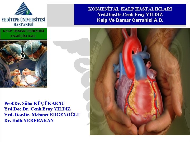 KONJENİTAL KALP HASTALIKLARI Yrd. Doç. Dr. Cenk Eray YILDIZ Kalp Ve Damar Cerrahisi A.