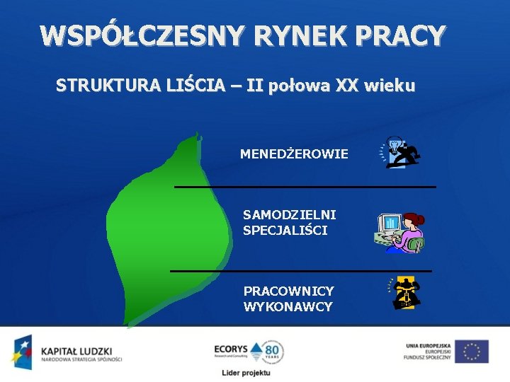 WSPÓŁCZESNY RYNEK PRACY STRUKTURA LIŚCIA – II połowa XX wieku MENEDŻEROWIE SAMODZIELNI SPECJALIŚCI PRACOWNICY