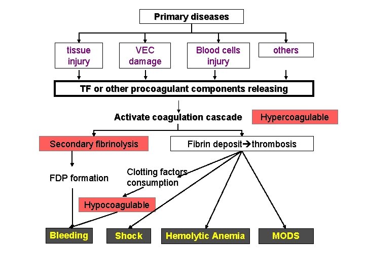 Primary diseases tissue injury VEC damage Blood cells injury others TF or other procoagulant