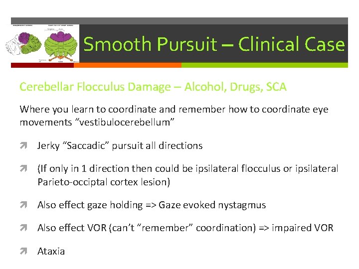 Smooth Pursuit – Clinical Case Cerebellar Flocculus Damage – Alcohol, Drugs, SCA Where you