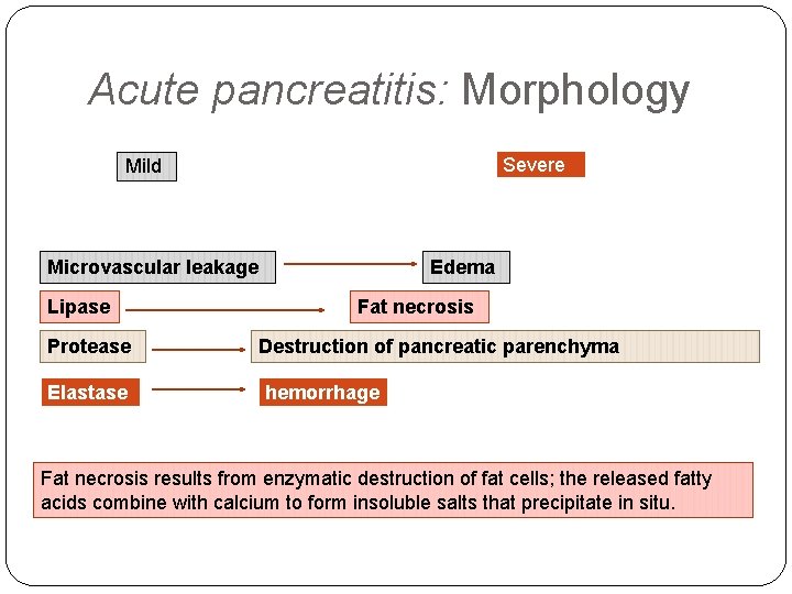 Acute pancreatitis: Morphology Severe Mild Microvascular leakage Lipase Protease Elastase Edema Fat necrosis Destruction