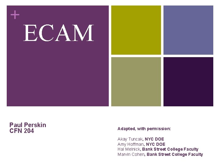 + ECAM Paul Perskin CFN 204 Adapted, with permission: Akay Tuncak, NYC DOE Amy + ECAM Paul Perskin CFN 204 Adapted, with permission: Akay Tuncak, NYC DOE Amy