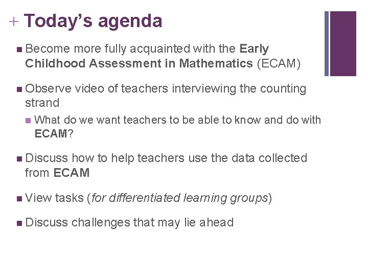 + Today’s agenda n Become more fully acquainted with the Early Childhood Assessment in + Today’s agenda n Become more fully acquainted with the Early Childhood Assessment in