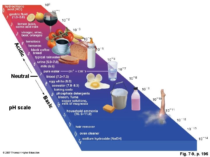 Ac idi c Neutral ic s Ba p. H scale Fig. 7 -9, p.