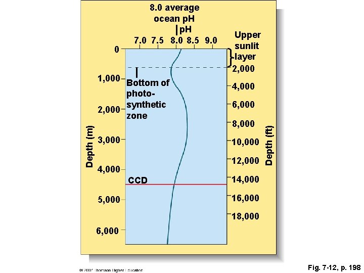 Depth (m) 1, 000 Bottom of photosynthetic 2, 000 zone 3, 000 4, 000