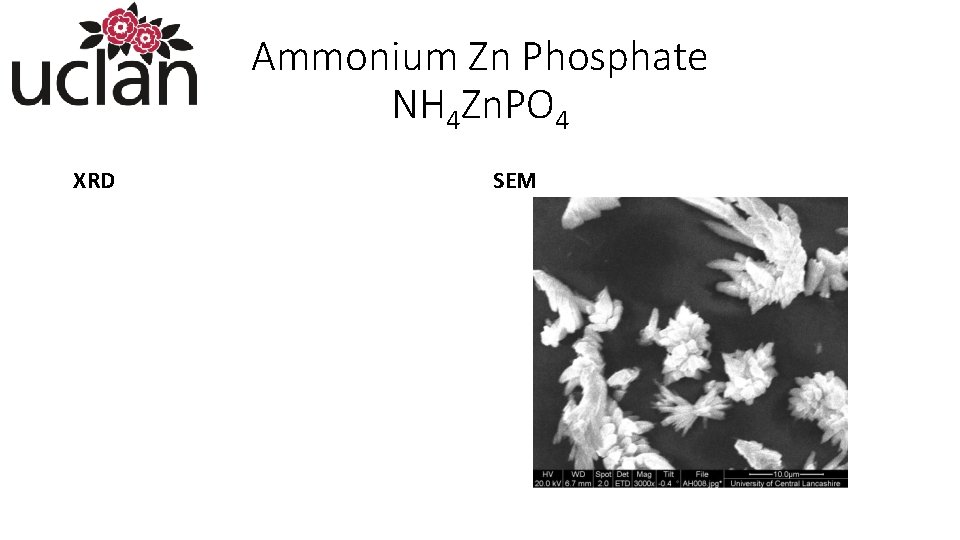 Ammonium Zn Phosphate NH 4 Zn. PO 4 XRD SEM 