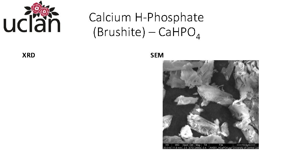 Calcium H-Phosphate (Brushite) – Ca. HPO 4 XRD SEM 