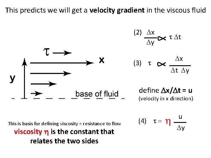 This predicts we will get a velocity gradient in the viscous fluid (2) Dx