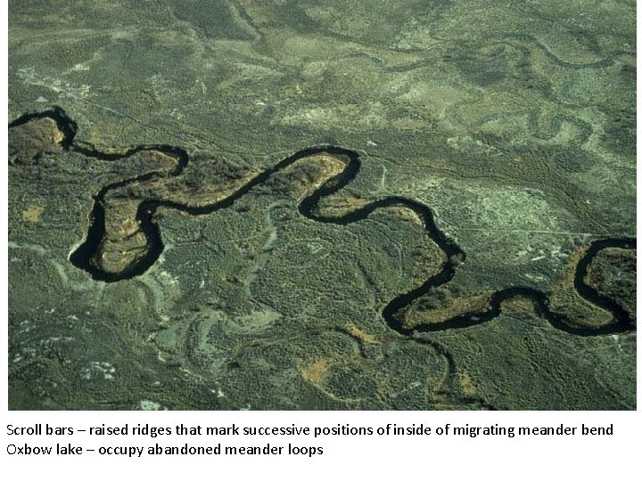 Scroll bars – raised ridges that mark successive positions of inside of migrating meander