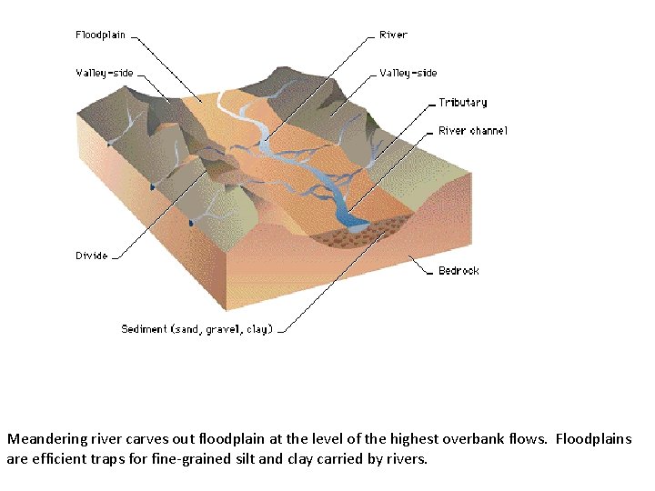 Meandering river carves out floodplain at the level of the highest overbank flows. Floodplains