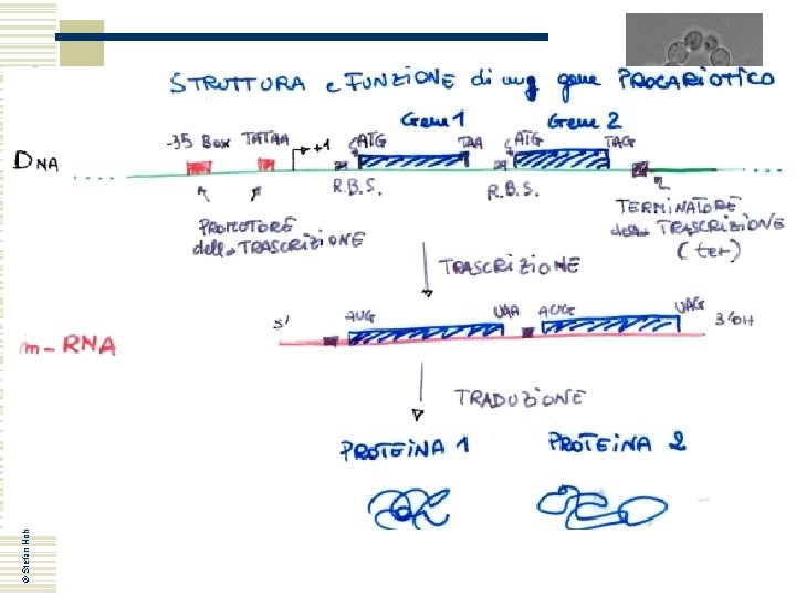 © Stefan Hohmann 2000 -2004 