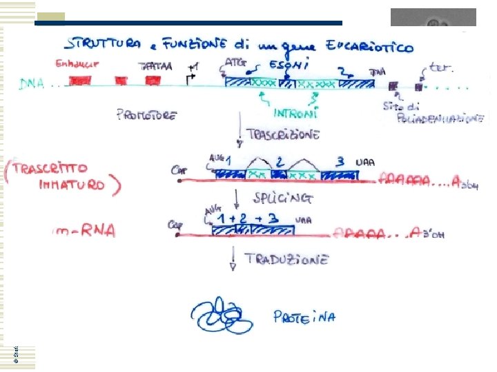 © Stefan Hohmann 2000 -2004 