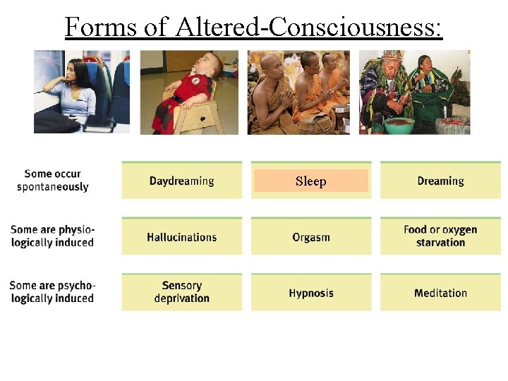 Forms of Altered-Consciousness: Sleep 