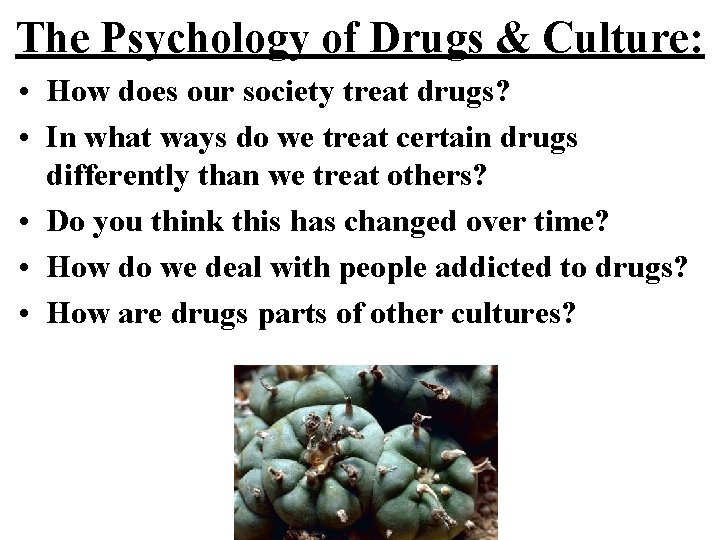 The Psychology of Drugs & Culture: • How does our society treat drugs? •