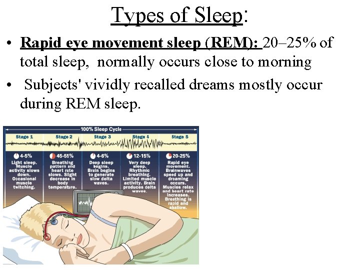 Types of Sleep: • Rapid eye movement sleep (REM): 20– 25% of total sleep,