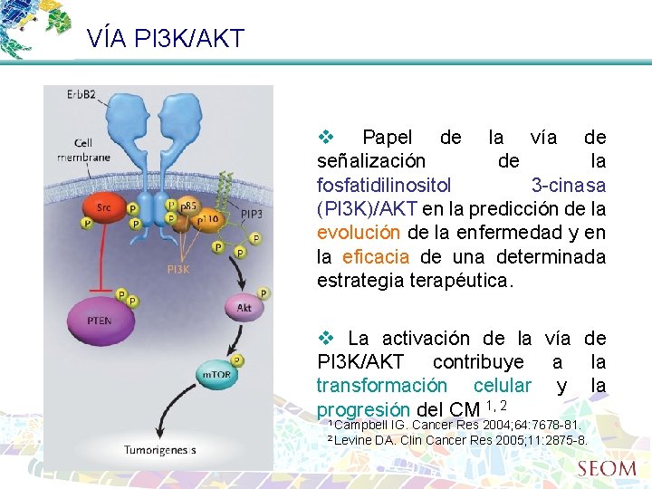 VÍA PI 3 K/AKT Papel de la vía de señalización de la fosfatidilinositol 3