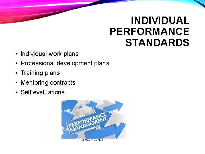 INDIVIDUAL PERFORMANCE STANDARDS • Individual work plans • Professional development plans • Training plans