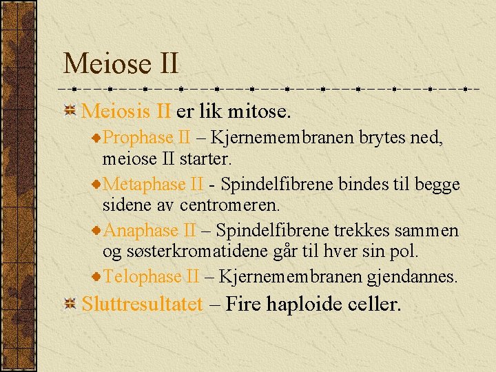 Meiose II Meiosis II er lik mitose. Prophase II – Kjernemembranen brytes ned, meiose