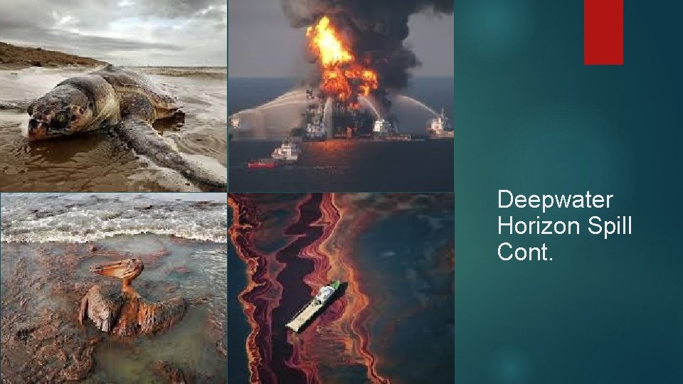 Deepwater Horizon Spill Cont. 