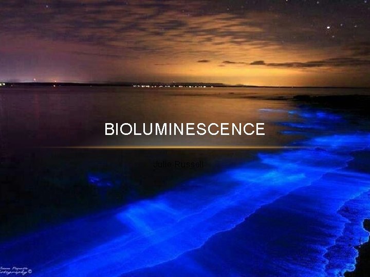 BIOLUMINESCENCE Julie Russell 