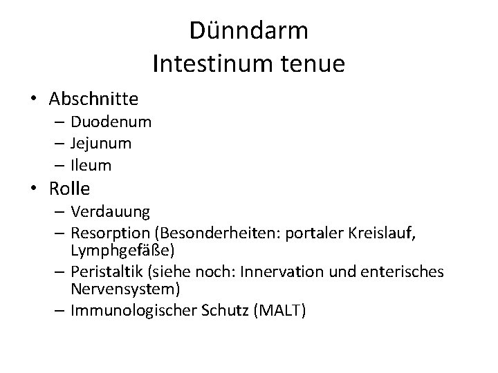 Dünndarm Intestinum tenue • Abschnitte – Duodenum – Jejunum – Ileum • Rolle –