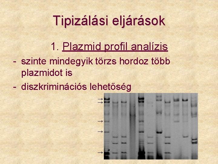 Tipizálási eljárások 1. Plazmid profil analízis - szinte mindegyik törzs hordoz több plazmidot is