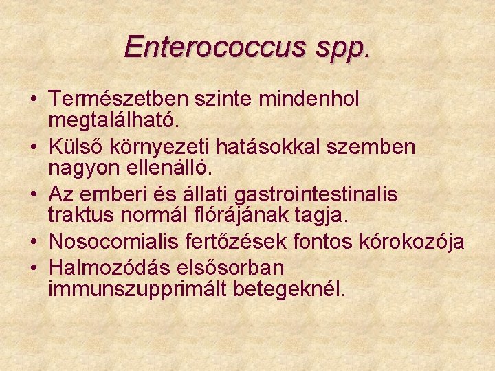 Enterococcus spp. • Természetben szinte mindenhol megtalálható. • Külső környezeti hatásokkal szemben nagyon ellenálló.