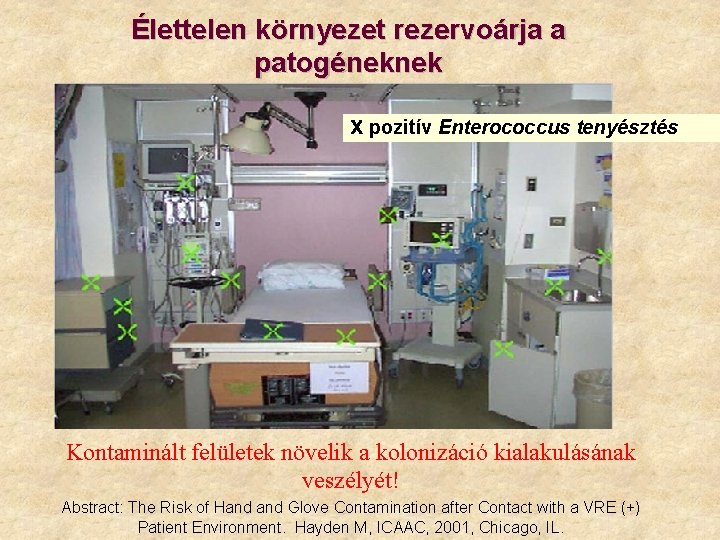 Élettelen környezet rezervoárja a patogéneknek X pozitív Enterococcus tenyésztés Kontaminált felületek növelik a kolonizáció