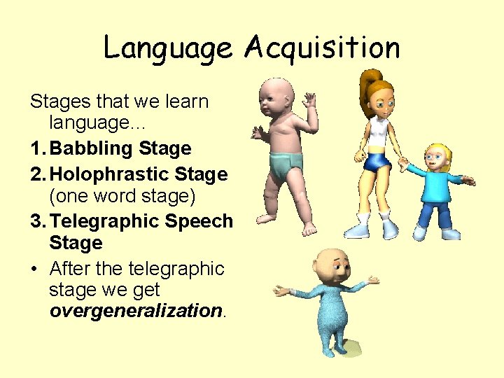 Language Acquisition Stages that we learn language… 1. Babbling Stage 2. Holophrastic Stage (one