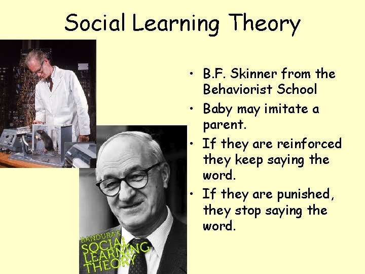 Social Learning Theory • B. F. Skinner from the Behaviorist School • Baby may