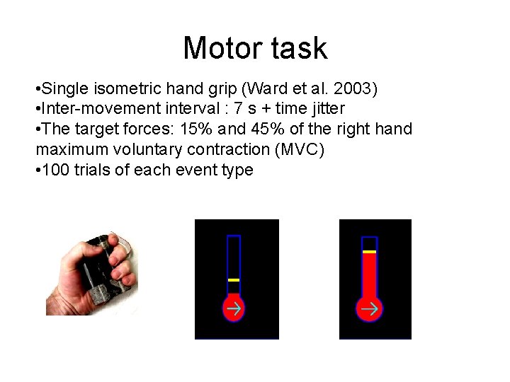 Motor task • Single isometric hand grip (Ward et al. 2003) • Inter-movement interval