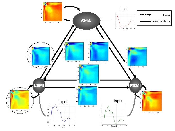 input Linear SMA Linear+nonlinear LSMI RSMI input 