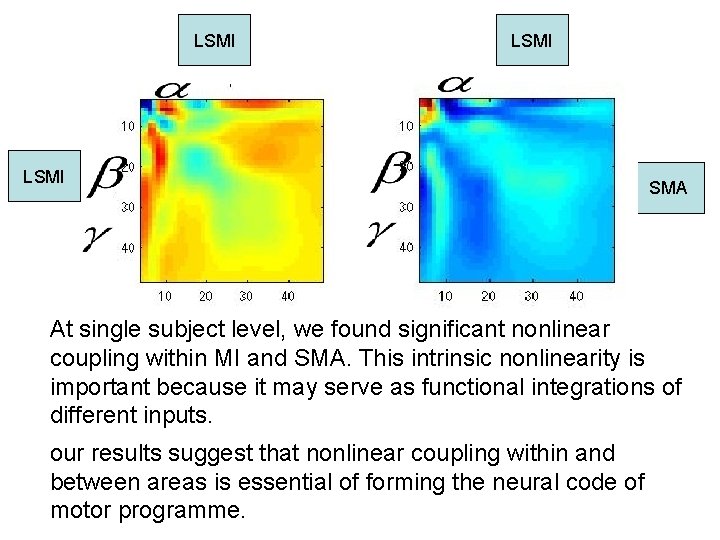 LSMI SMA At single subject level, we found significant nonlinear coupling within MI and