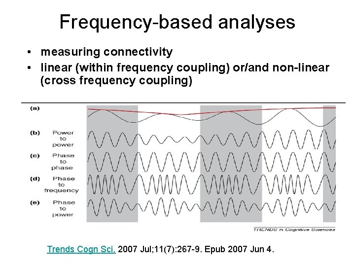 Frequency-based analyses • measuring connectivity • linear (within frequency coupling) or/and non-linear (cross frequency