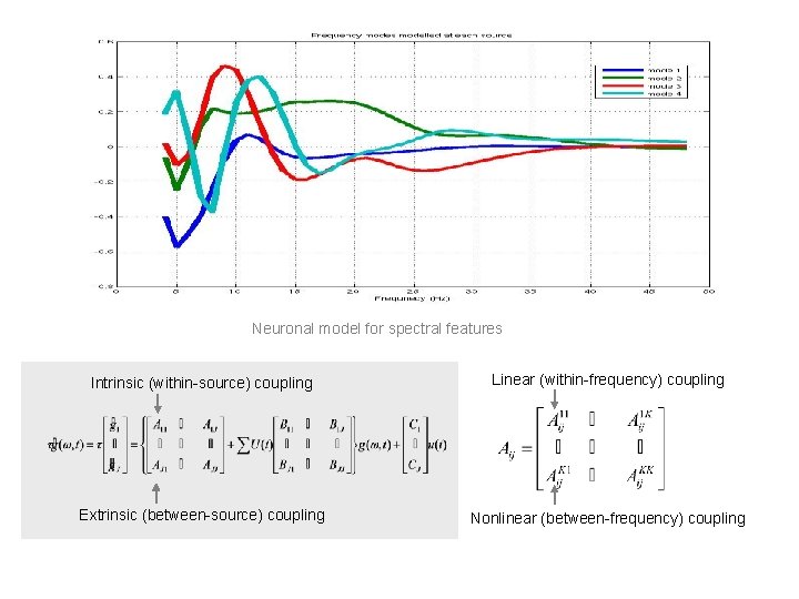 Neuronal model for spectral features Intrinsic (within-source) coupling Linear (within-frequency) coupling Extrinsic (between-source) coupling