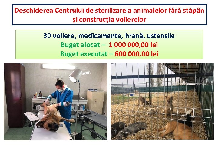 Deschiderea Centrului de sterilizare a animalelor fără stăpân și construcția volierelor 30 voliere, medicamente,